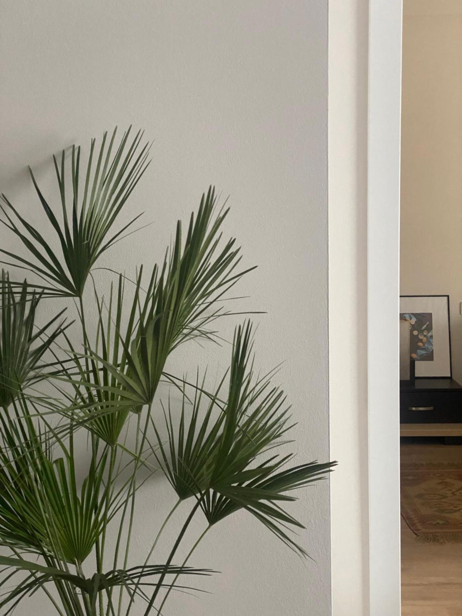 L.l Maison 2 Appartement